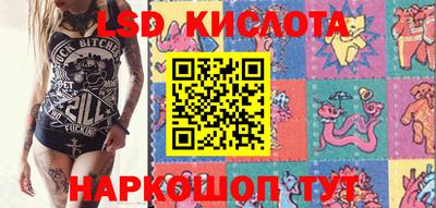 дживик Тара