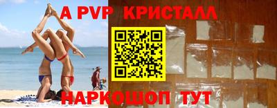 дживик Тара