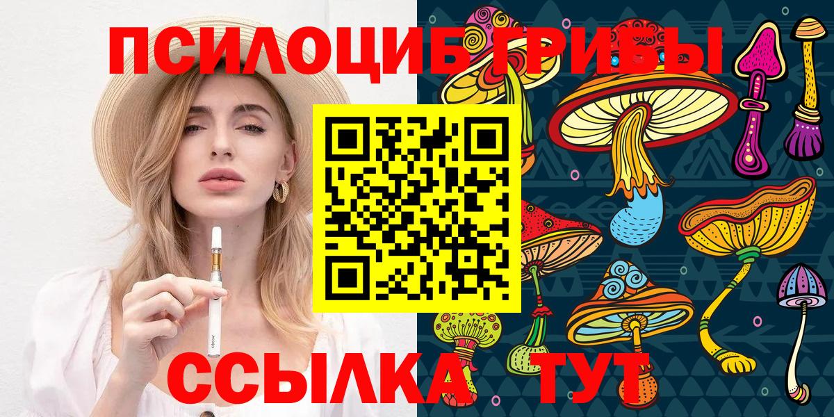 Псилоцибиновые грибы Cubensis Бугуруслан
